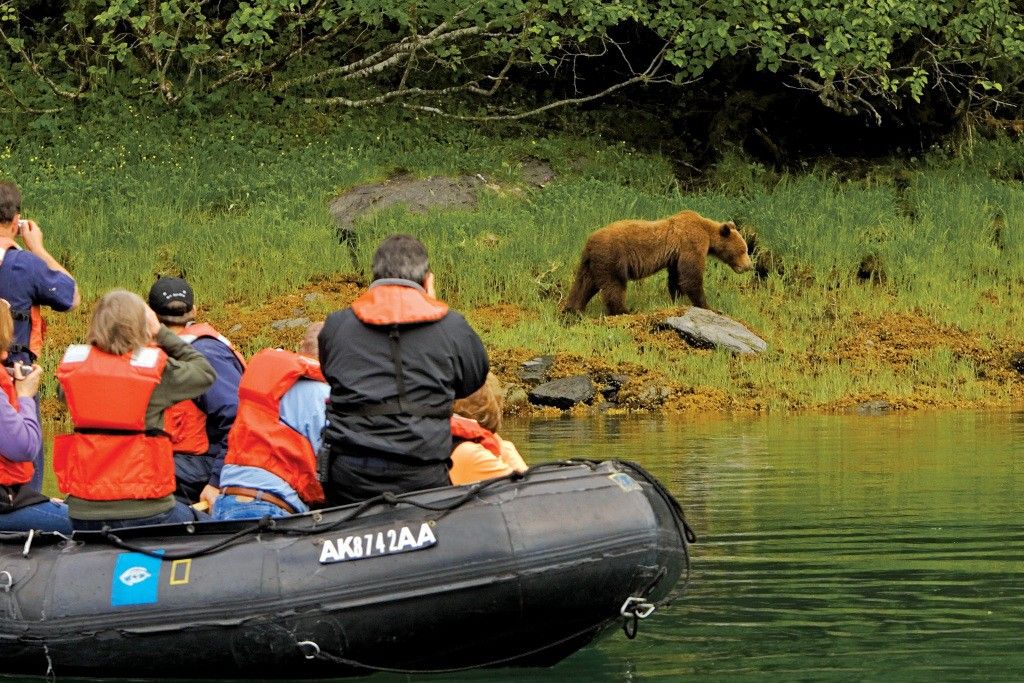 Close to nature on an Alaskan expedition cruise