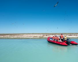 Ningaloo & The Bluewater Wonders of Australia's West Photo 3