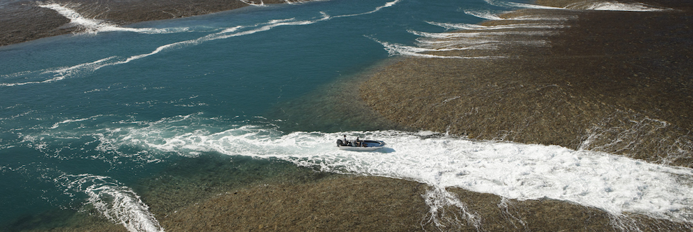 montgomery reef on a kimberley cruise