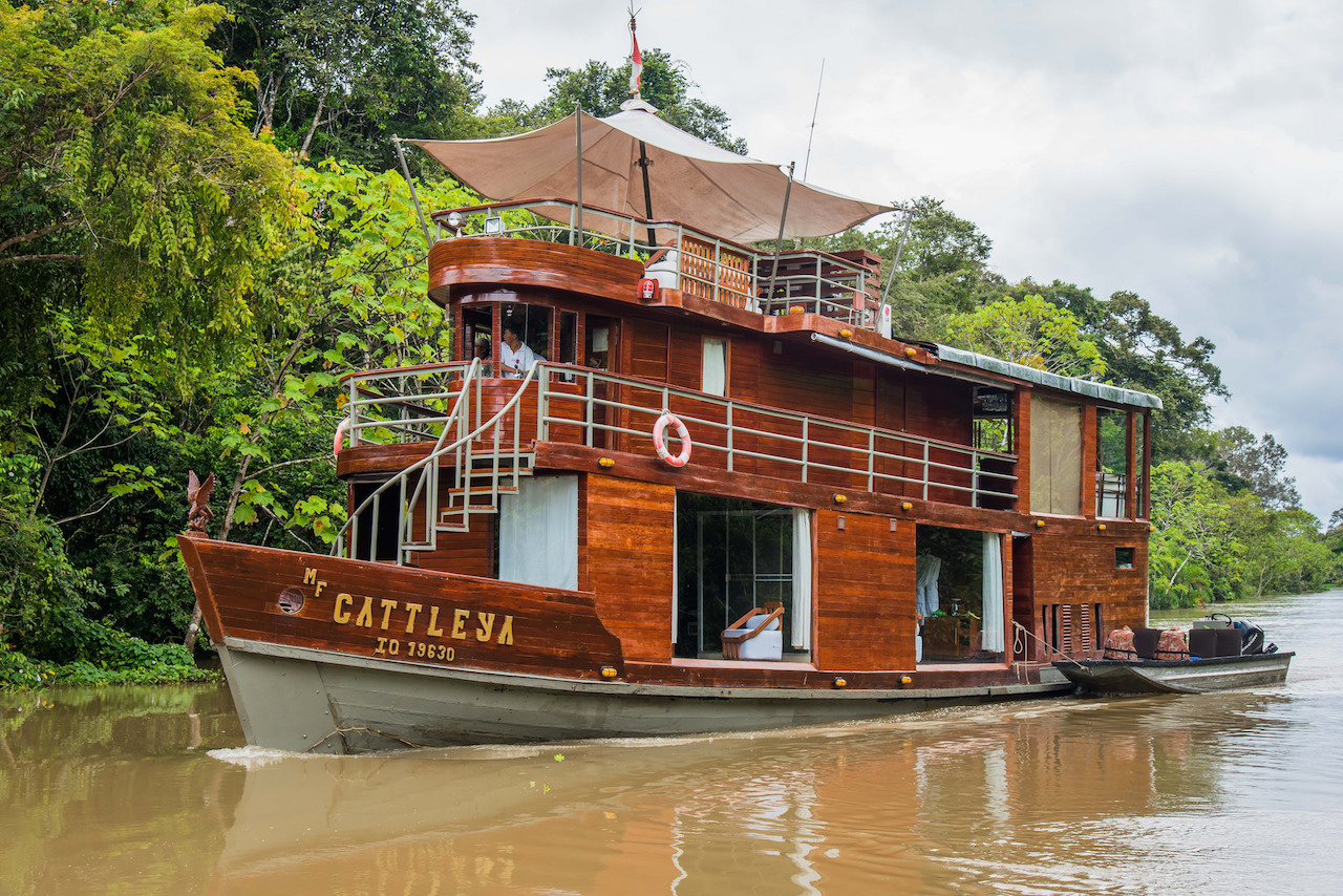 cruising the amazon aboard cattleya