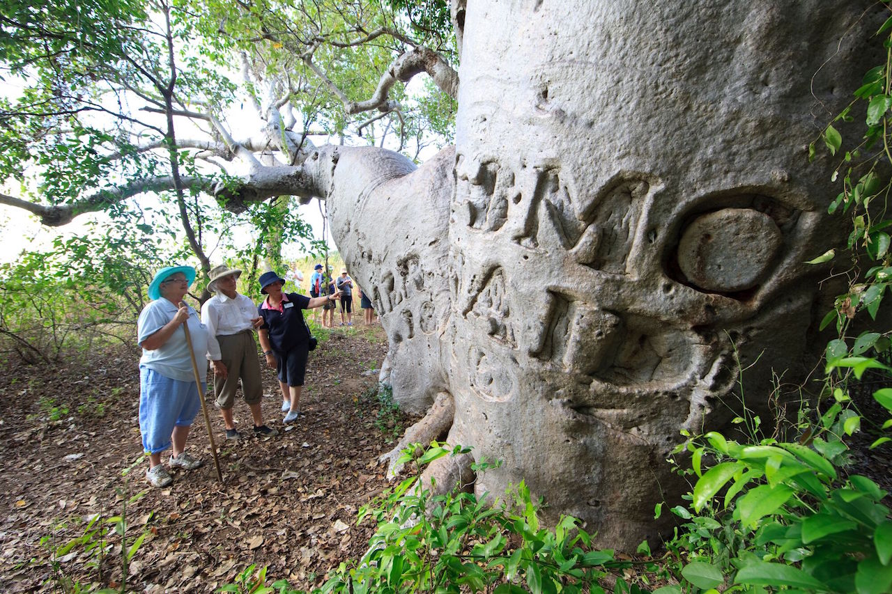 Coral Expeditions travellers at Mermaid Boat Tree