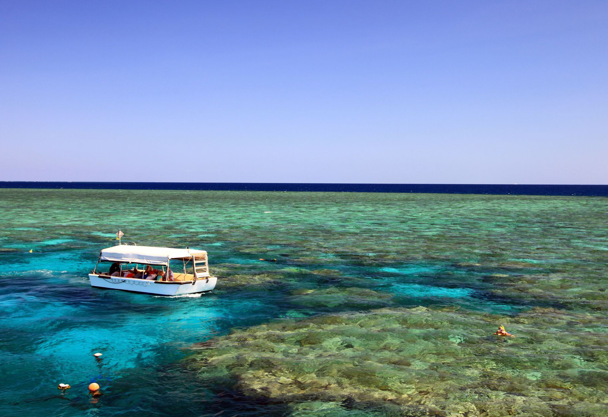 great barrier reef cruise