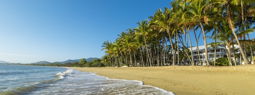 palm cove australia