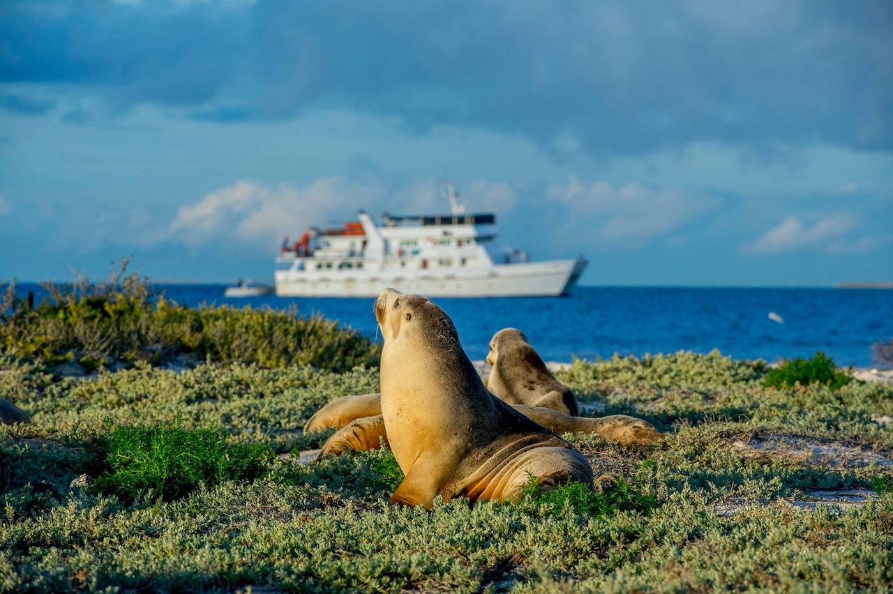 Eco Abrolhos cruising the Abrolhos Islands