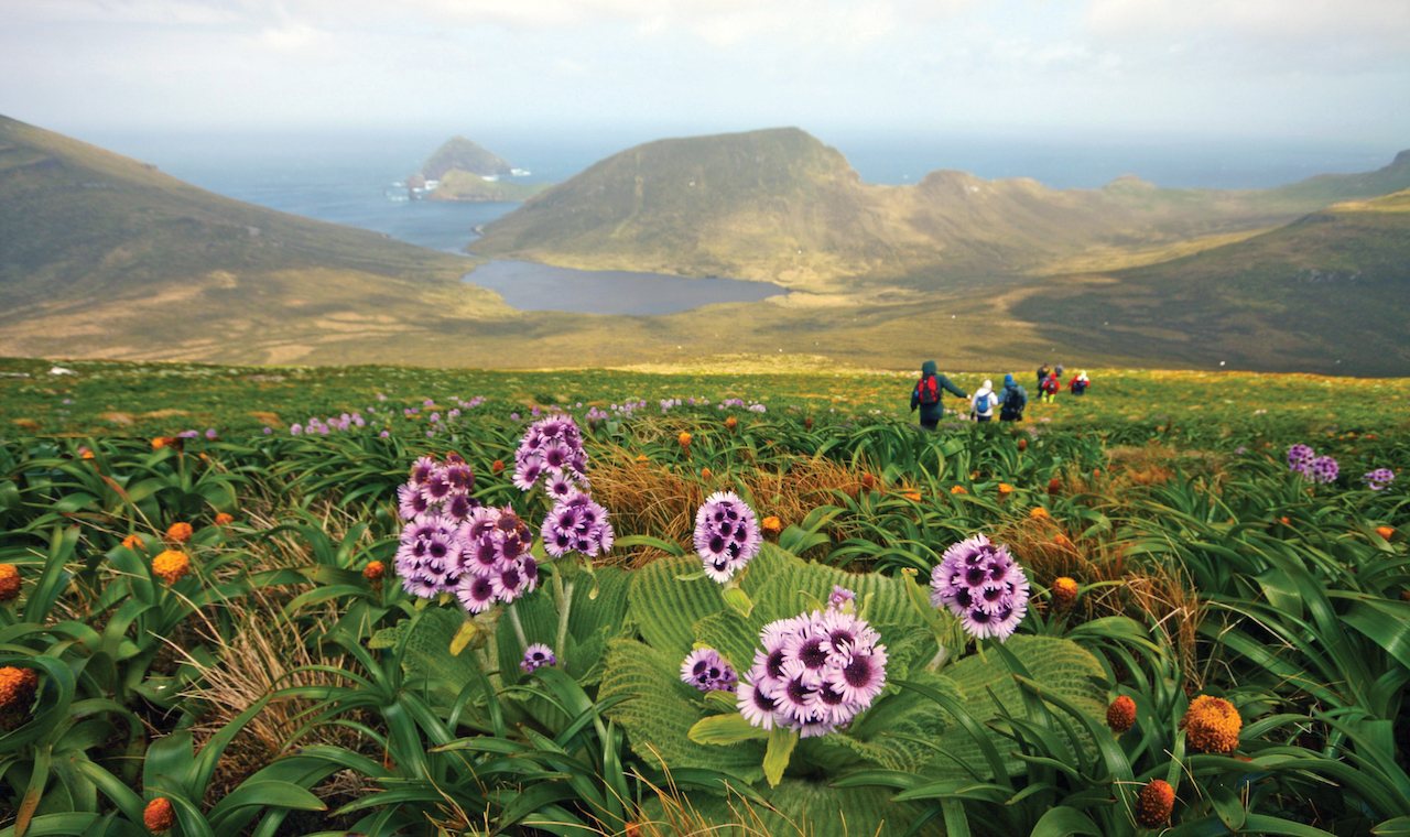 Sub-antarctic islands with heritage expeditions