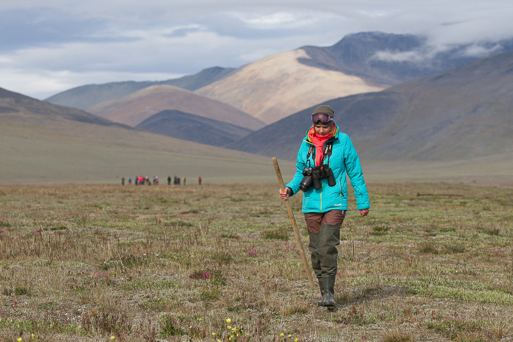 Wrangel Island: Across the Top of the World Expedition Cruise