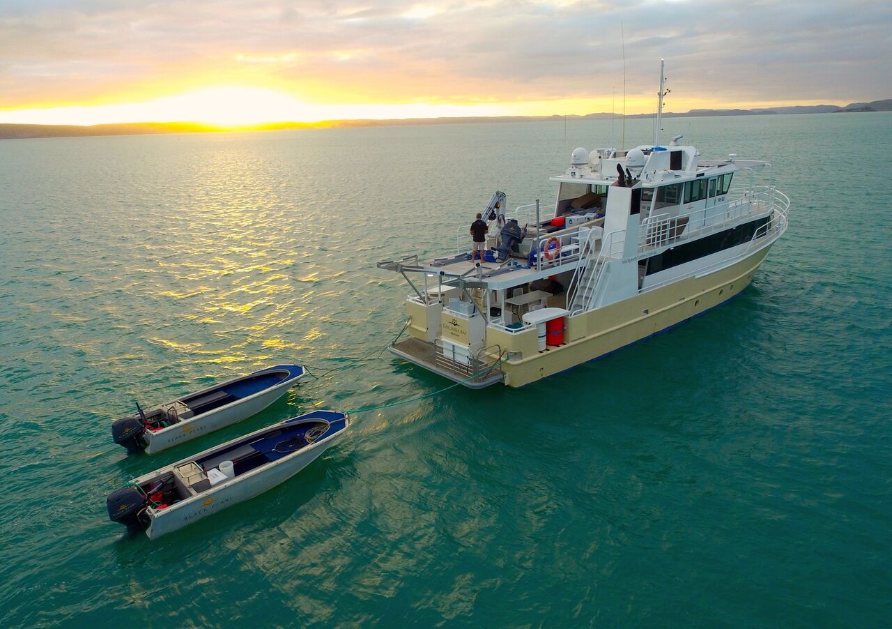 Priuvate Charter Kimberley Pearl Cruise