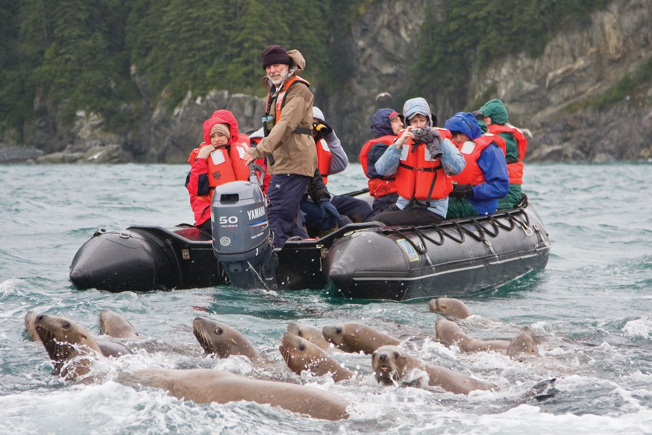 Wildlife on Alaska cruise with Lindblad