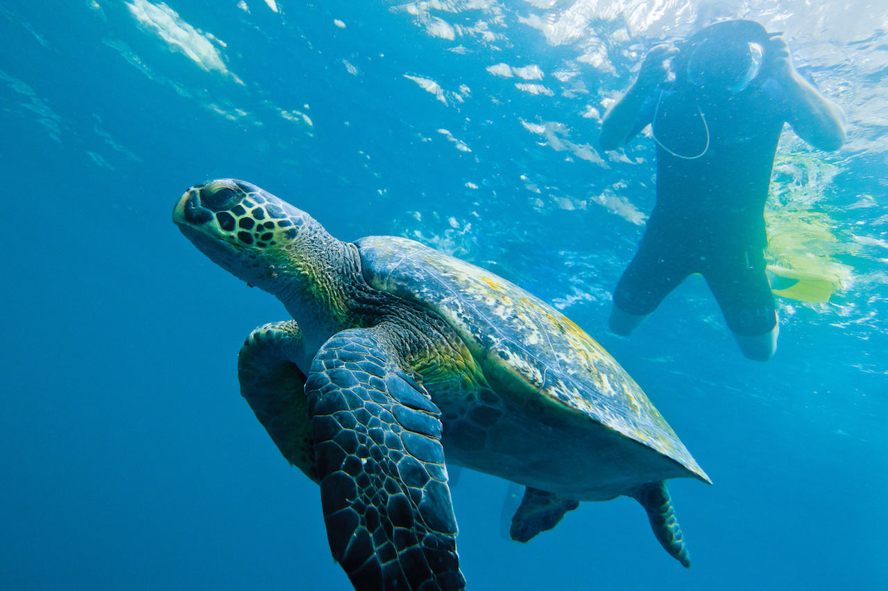 Galapagos Islands Cruise with Lindblad National Geographic Expeditions