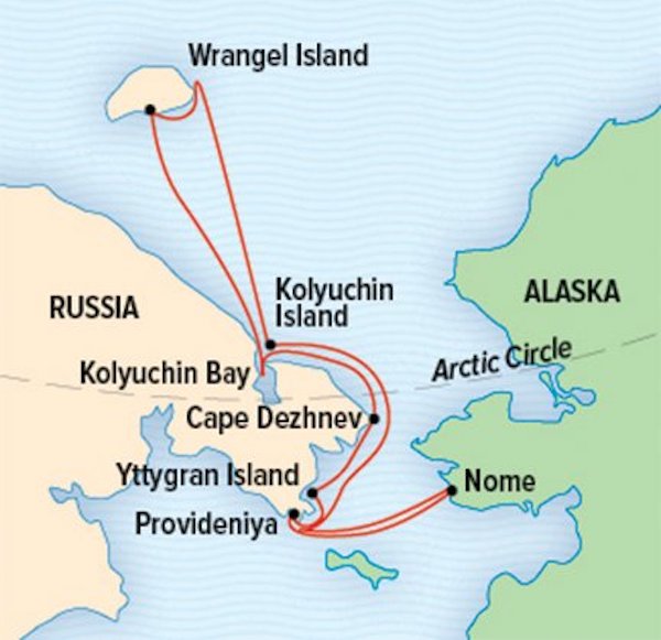 Orion wrangel Island cruise