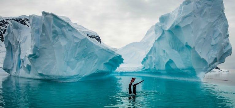 polar snorkelling in Antarctica