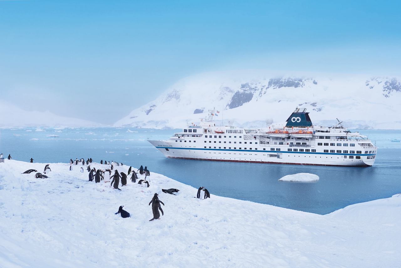 Falklands, South & Antarctica Expedition Cruise Specialists
