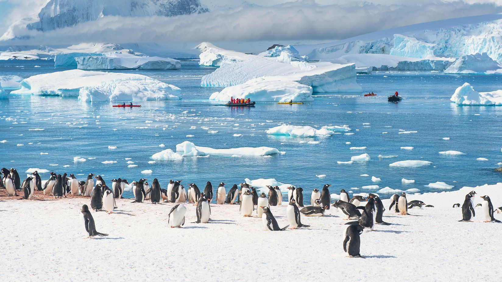 best of Antarctica expedition cruise
