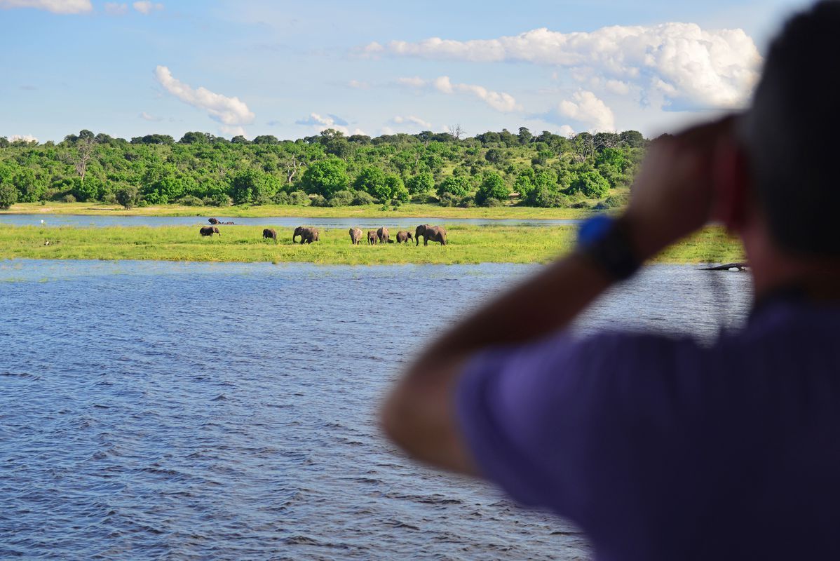 elephants africa cruise