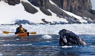 Antarctic Sea Kayaking