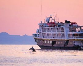 National Geographic Sea Lion & Sea Bird Photo 12