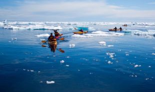 Sea Kayaking in the Arctic