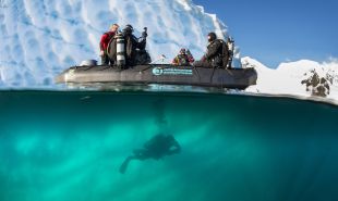 Polar Diving