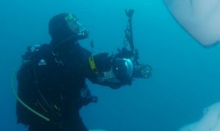 Polar Diving