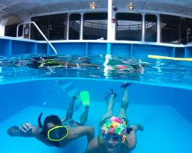 Reef Endeavour Photo 6