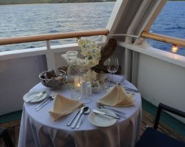 Reef Endeavour Photo 10