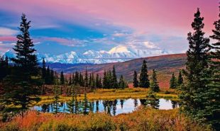 6-Day Denali National Park Extension