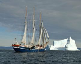 North Norway Whale Safari & Aurora Borealis Photo 1