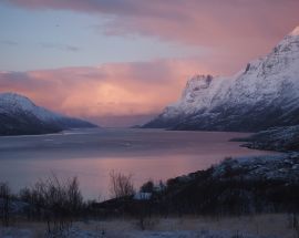 North Norway Whale Safari & Aurora Borealis Photo 5