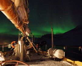 North Norway Whale Safari & Aurora Borealis Photo 7