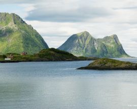 North Norway Whale Safari & Aurora Borealis Photo 9