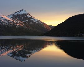 North Norway Whale Safari & Aurora Borealis Photo 10