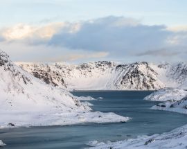 North Norway Whale Safari & Aurora Borealis Photo 11