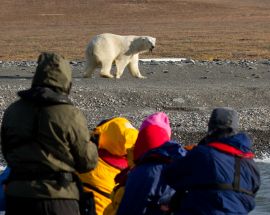 Wrangel Island: Across the Top of the World Photo 3