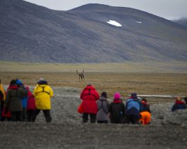 Wrangel Island: Across the Top of the World Photo 4