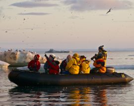 Wrangel Island: Across the Top of the World Photo 5