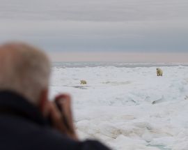 Wrangel Island: Across the Top of the World Photo 8