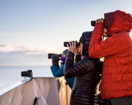 Wrangel Island: Across the Top of the World Photo 17