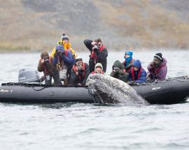 Russia's Sea of Okhotsk Photo 4