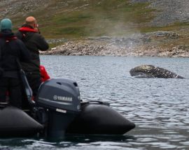 Russia's Sea of Okhotsk Photo 5