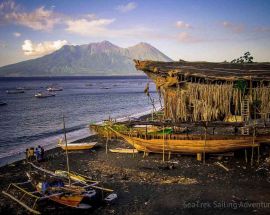 Whalesharks, Corals & Dragons from Bali Photo 6