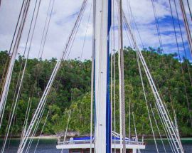 Whalesharks, Corals & Dragons from Bali Photo 9