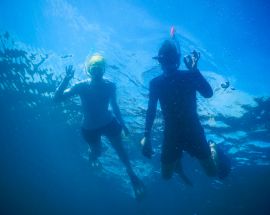 Whalesharks, Corals & Dragons from Bali Photo 15