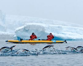 Journey to Antarctica: The White Continent Photo 5