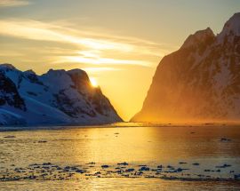 Journey to Antarctica: The White Continent Photo 6