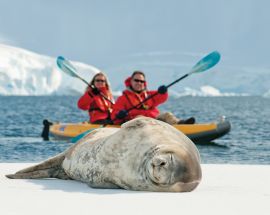 Journey to Antarctica: The White Continent Photo 10