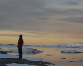 Wild Antarctica Photo 2