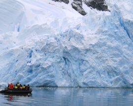 Wild Antarctica Photo 3