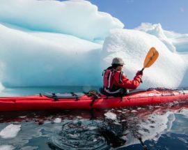 Wild Antarctica Photo 6