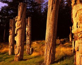 A Remarkable Journey to Alaska, British Columbia & Haida Gwaii Photo 4