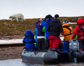 In search of Polar Bears & Pack Ice Photo 2